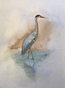 Great-Blue-Heron